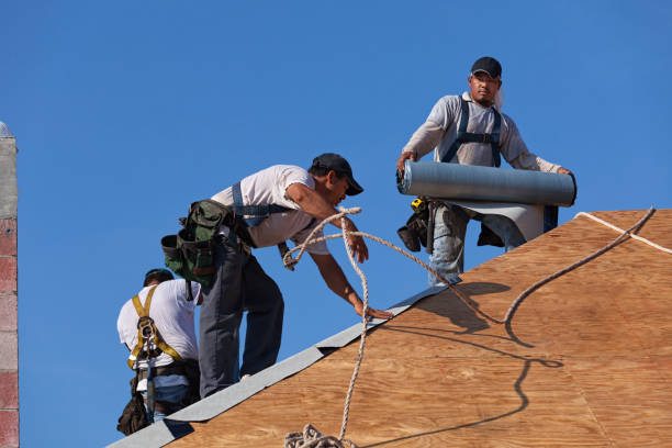 Best Roof Restoration Services  in Plainfield, NJ